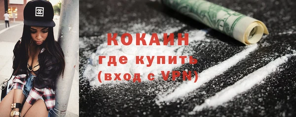 ECSTASY Богородицк